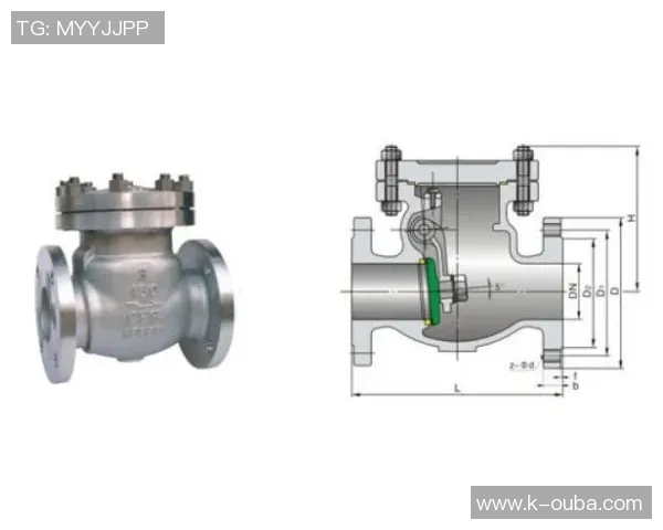 水管阀门的种类、作用与选购指南及常见问题解答
